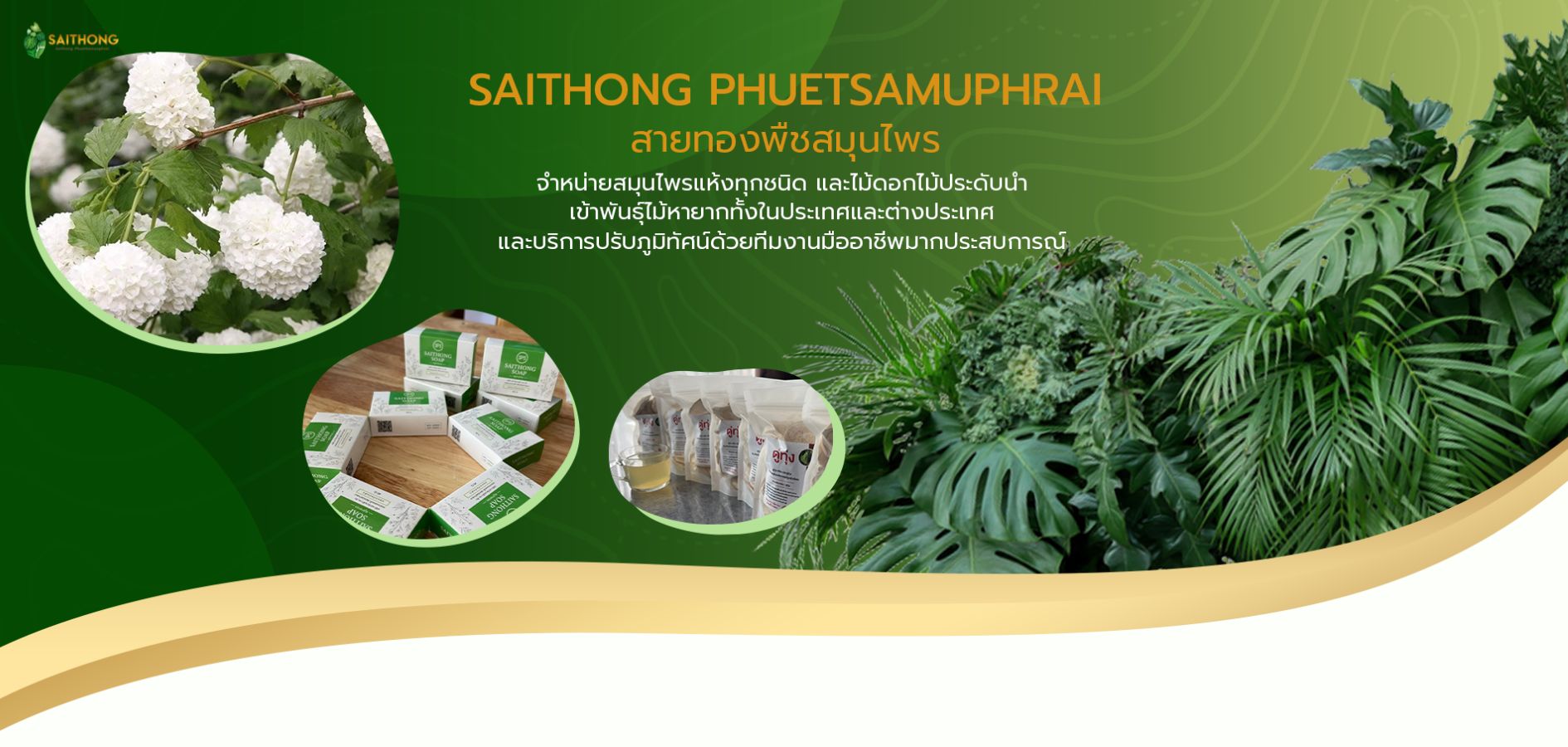 saithong99.com